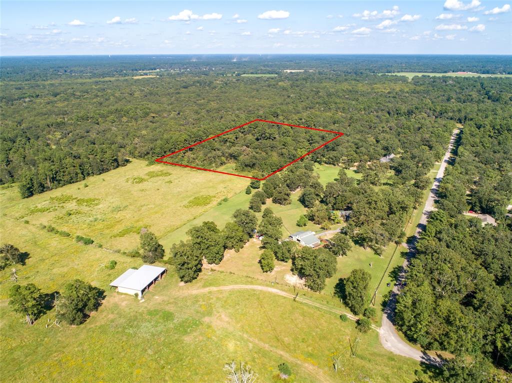 Lot10 Palmetto, Magnolia, Texas image 12