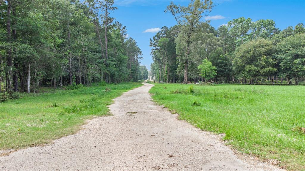 32300 Cypress Hollow Drive, New Caney, Texas image 3