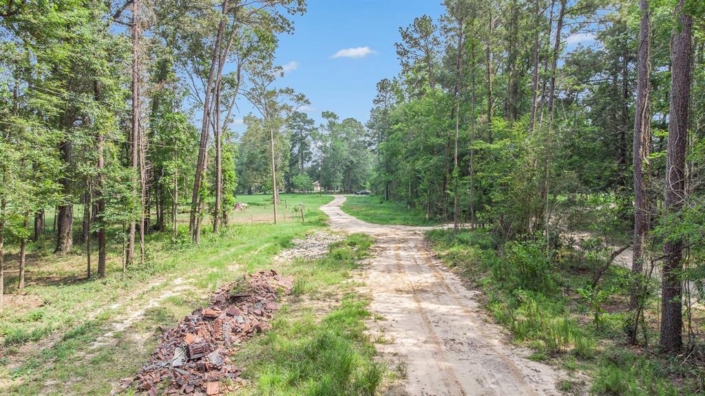 32300 Cypress Hollow Drive, New Caney, Texas image 4