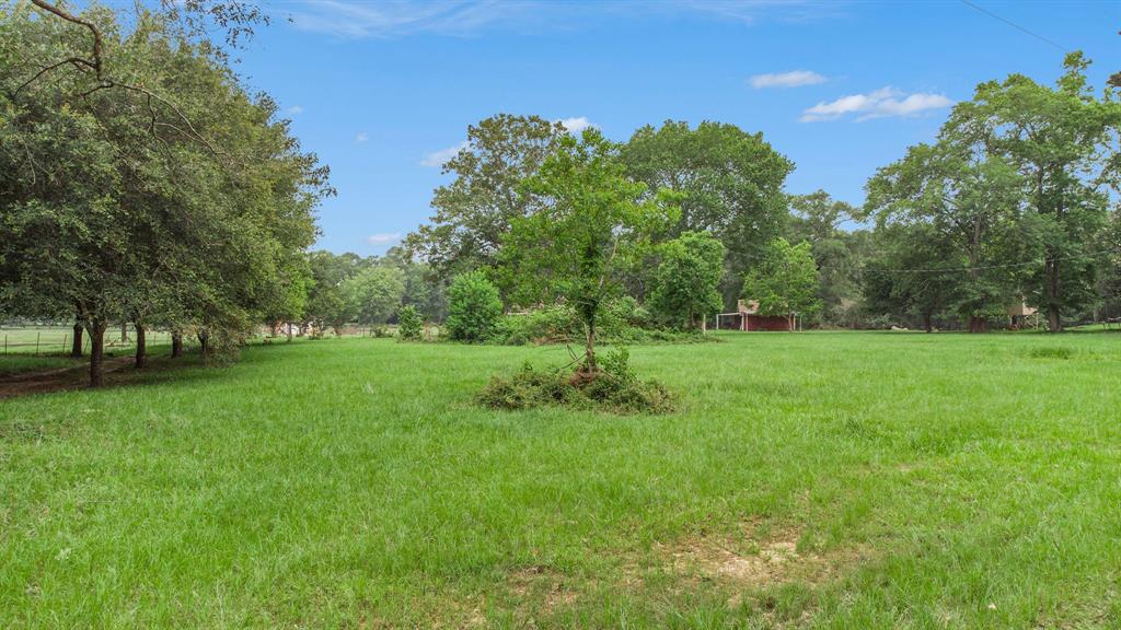 32300 Cypress Hollow Drive, New Caney, Texas image 9