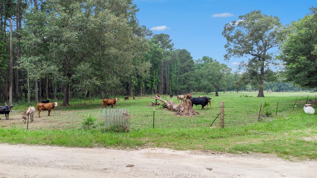 32300 Cypress Hollow Drive, New Caney, Texas image 8