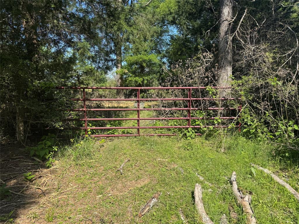 18242 Old Bundick Road, Hearne, Texas image 14