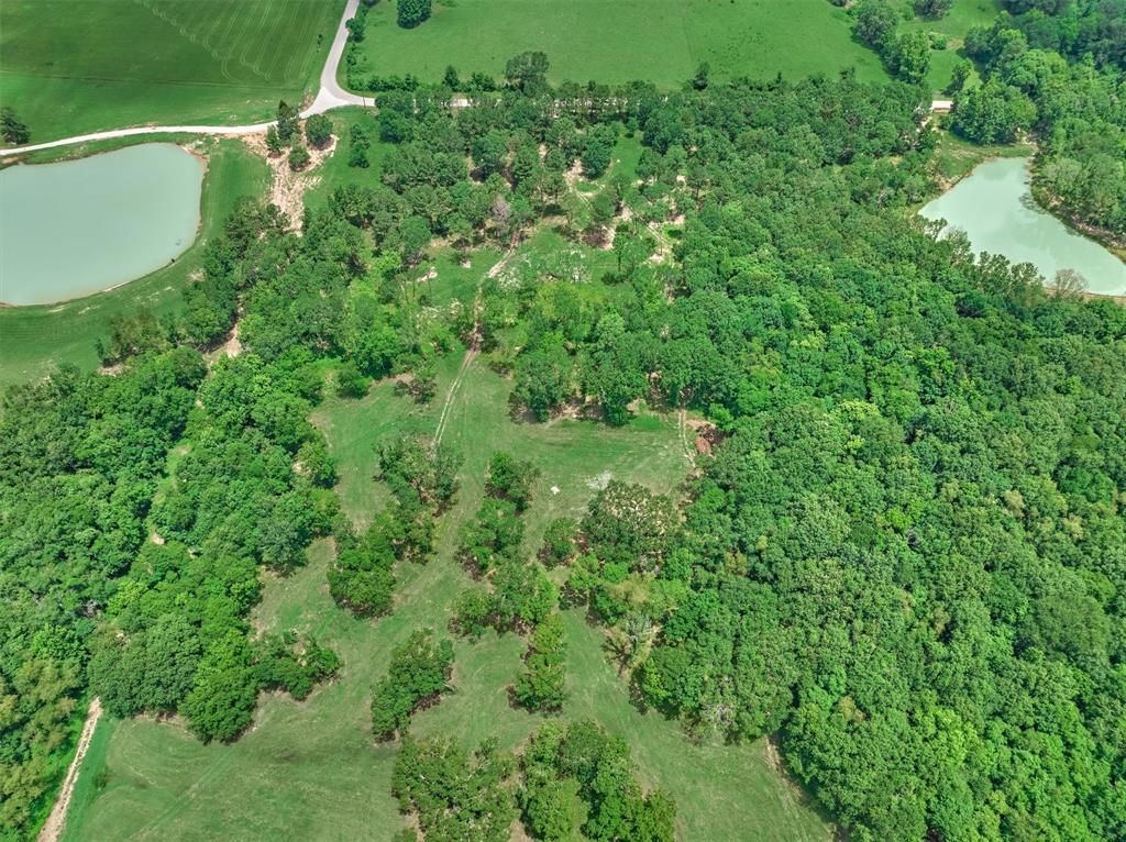 Tract A Bailey Grove Road, Montgomery, Texas image 10