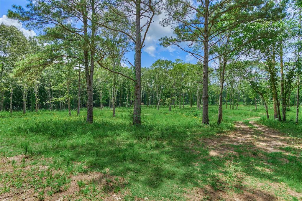 Tract A Bailey Grove Road, Montgomery, Texas image 4