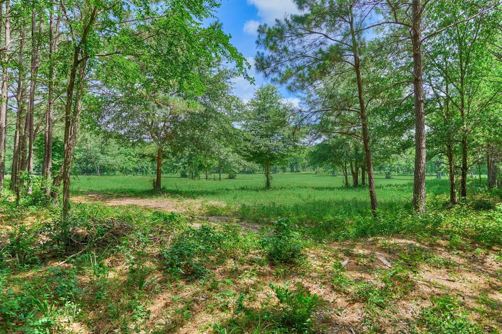 Tract A Bailey Grove Road, Montgomery, Texas image 7