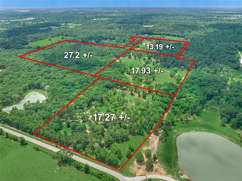 Tract A Bailey Grove Road, Montgomery, Texas image 12