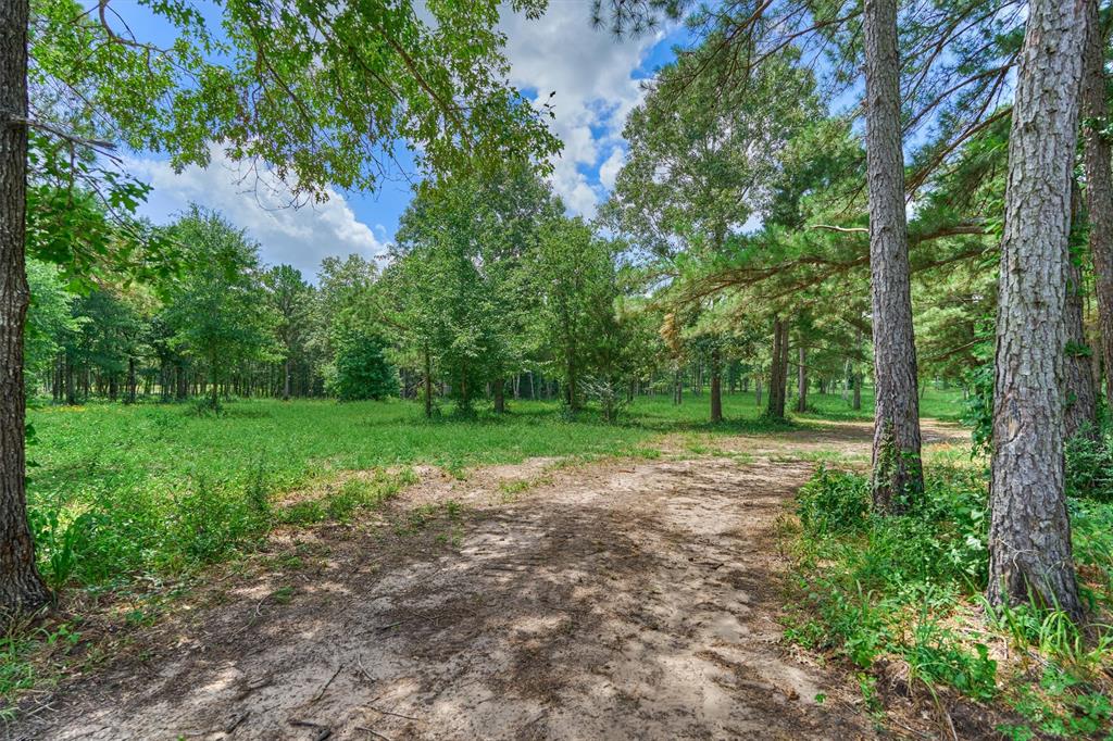Tract A Bailey Grove Road, Montgomery, Texas image 5