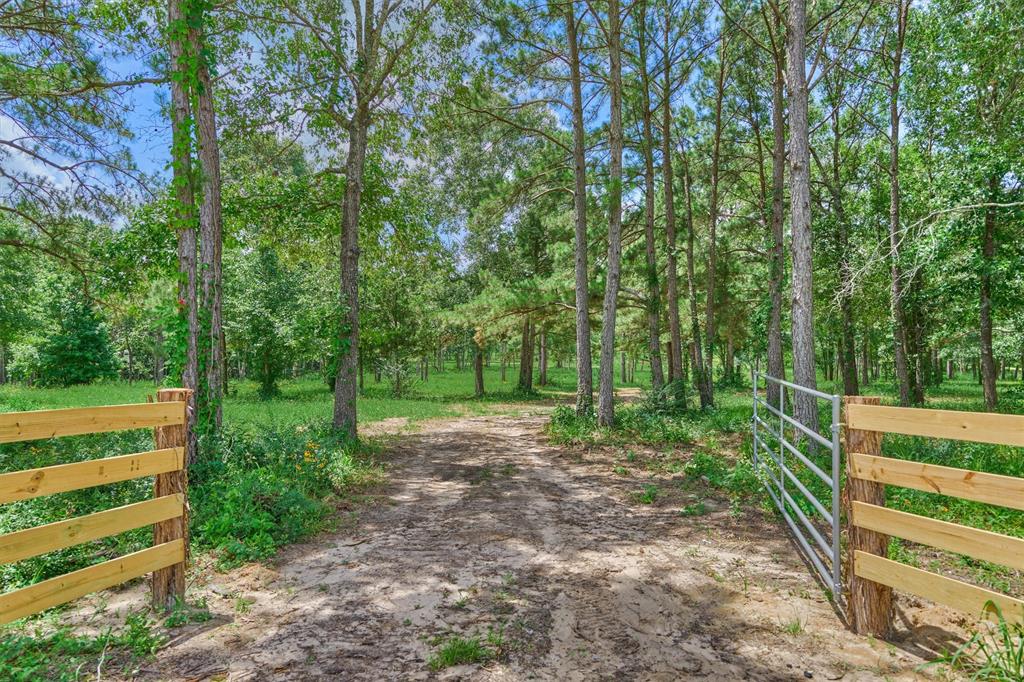 Tract A Bailey Grove Road, Montgomery, Texas image 1