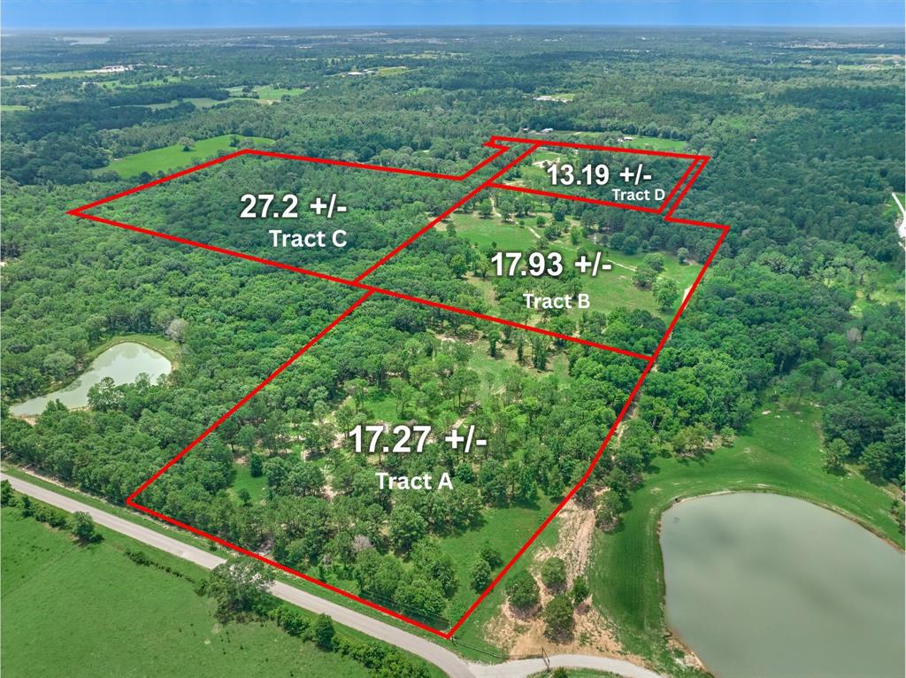 Tract A Bailey Grove Road, Montgomery, Texas image 2