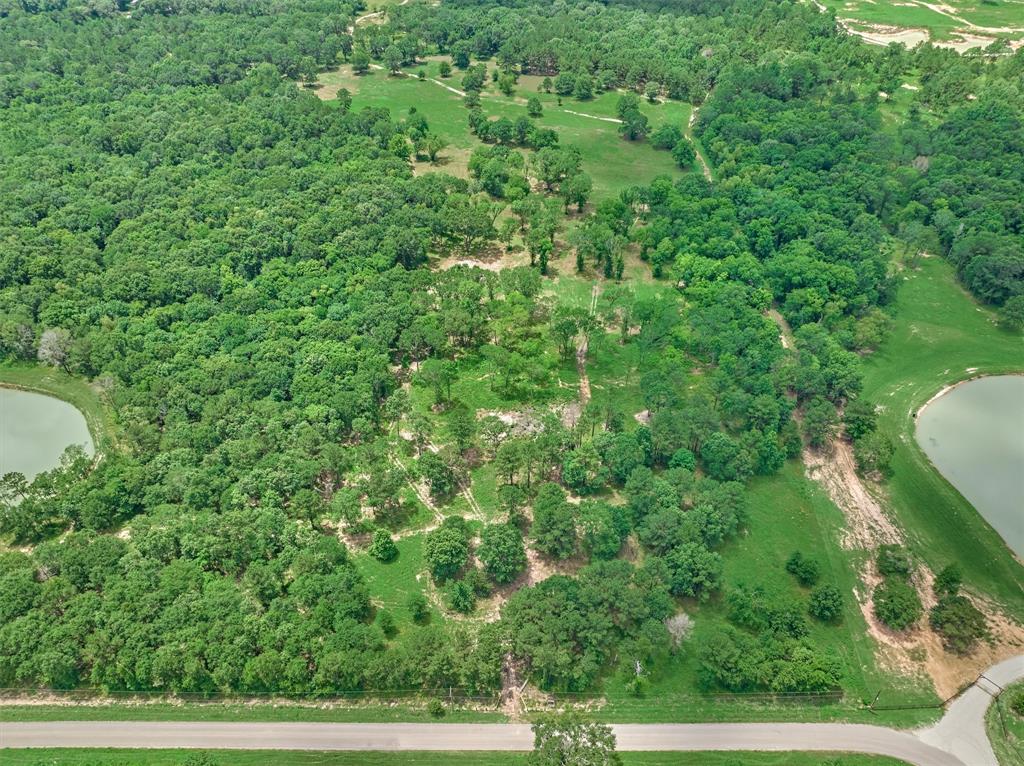 Tract A Bailey Grove Road, Montgomery, Texas image 11