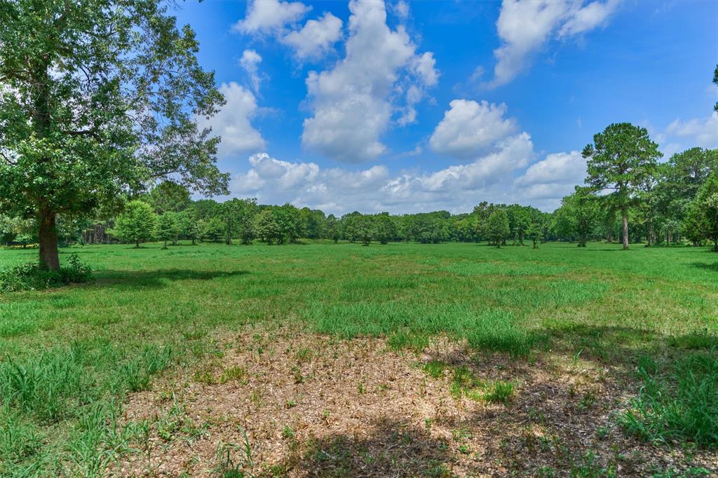 Tract A Bailey Grove Road, Montgomery, Texas image 9