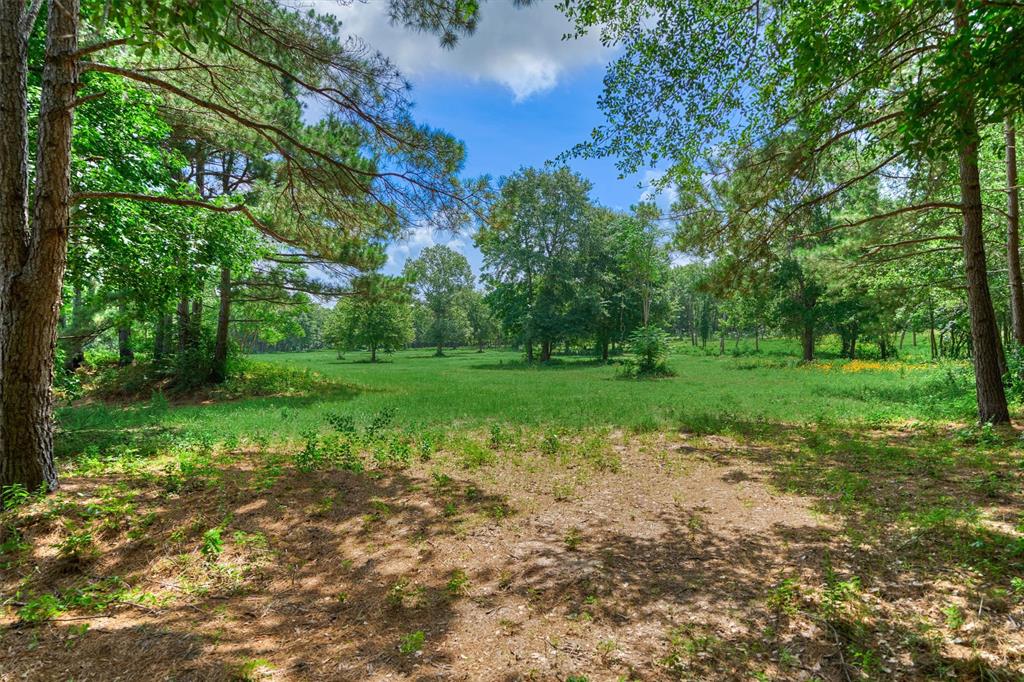 Tract A Bailey Grove Road, Montgomery, Texas image 6