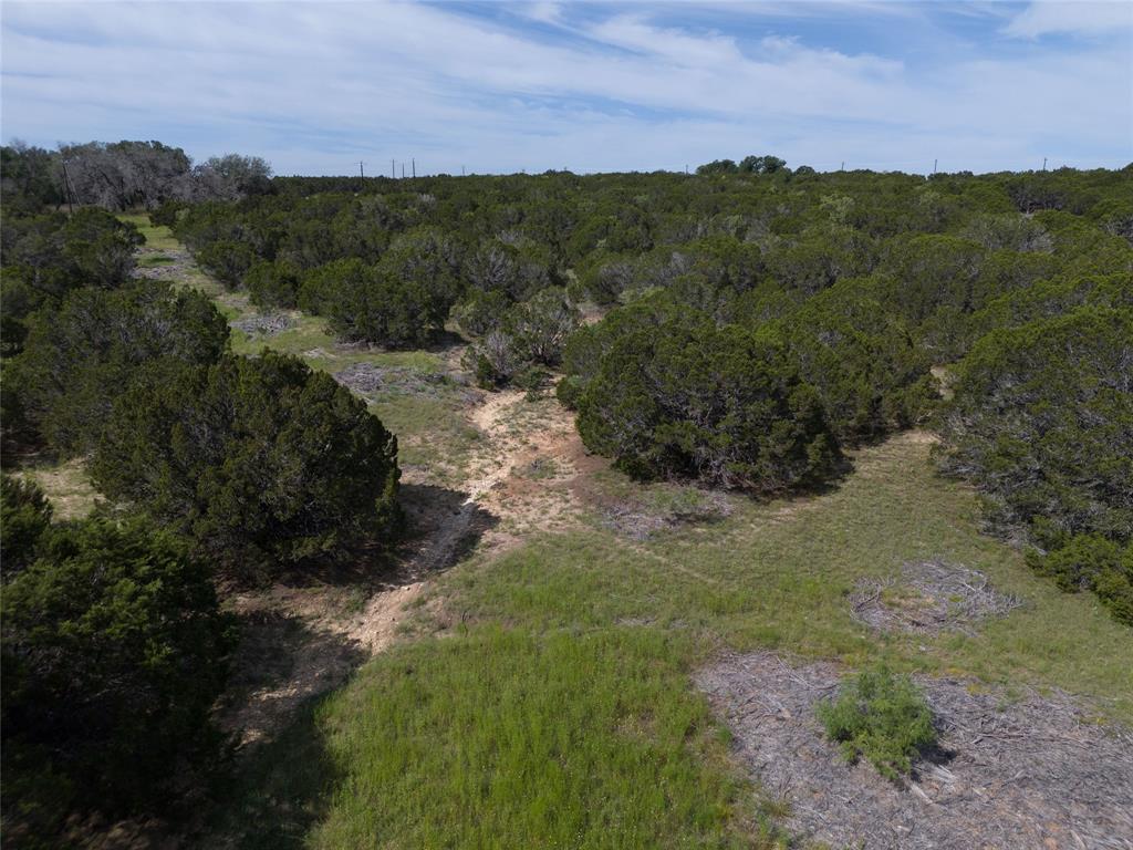 443 Deer Run Court, Evant, Texas image 1