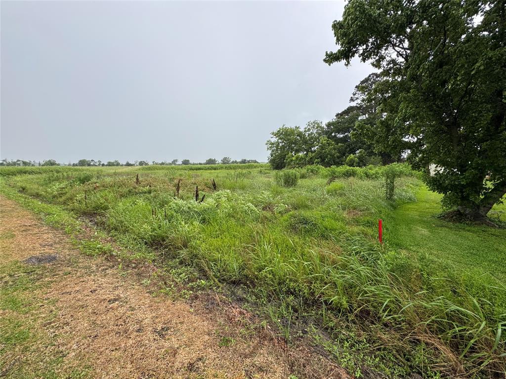 County Road 119, Liberty, Texas image 2