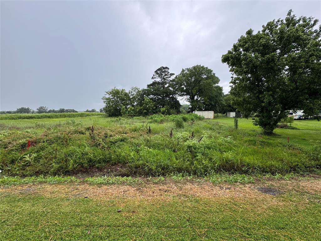 County Road 119, Liberty, Texas image 1