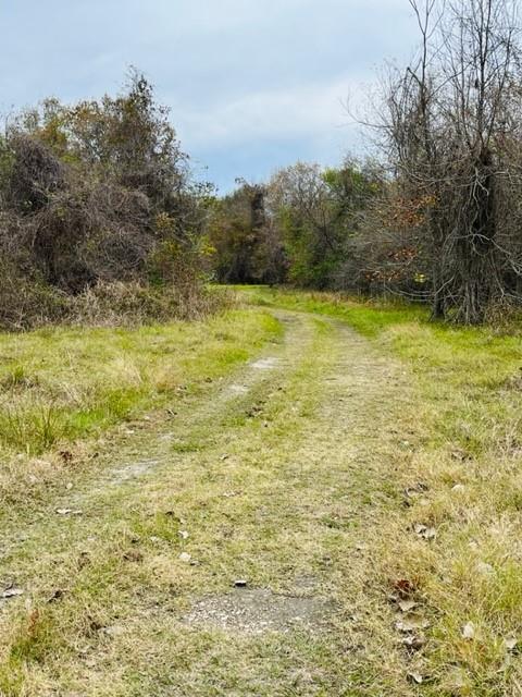 Lot 305 Trinity Drive, Liberty, Texas image 4