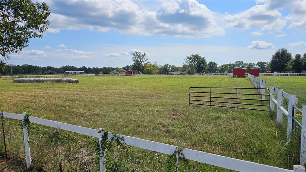 Jones Rd, New Waverly, Texas image 5