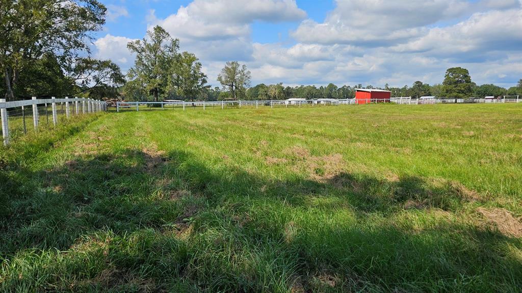 Jones Rd, New Waverly, Texas image 4