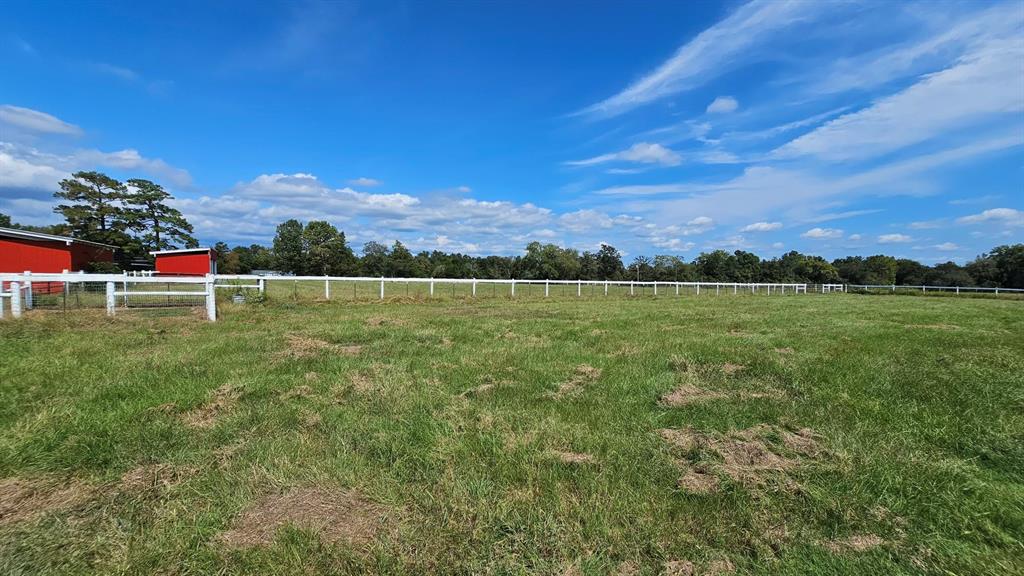 Jones Rd, New Waverly, Texas image 3