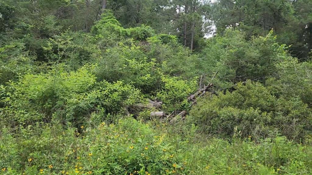 Lot 35 Scarlet Oak Drive