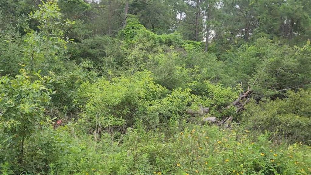 Lot 35 Scarlet Oak Drive