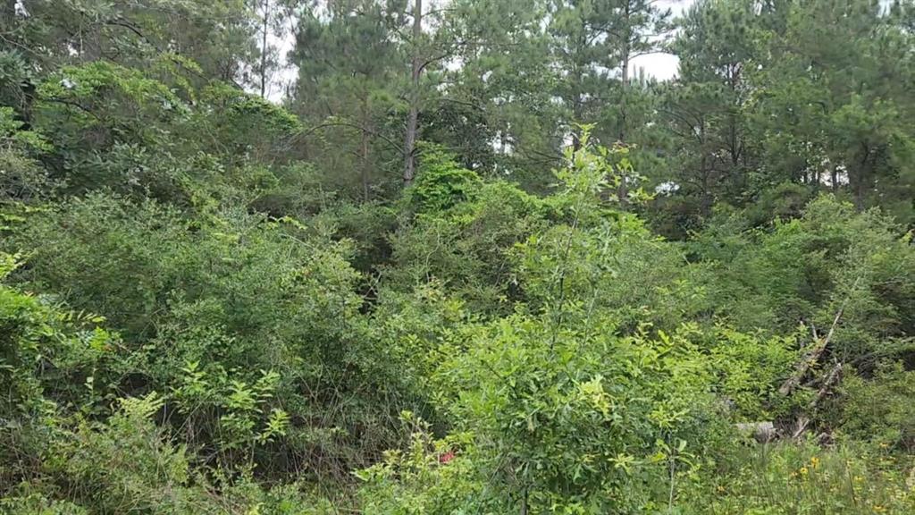 Lot 35 Scarlet Oak Drive
