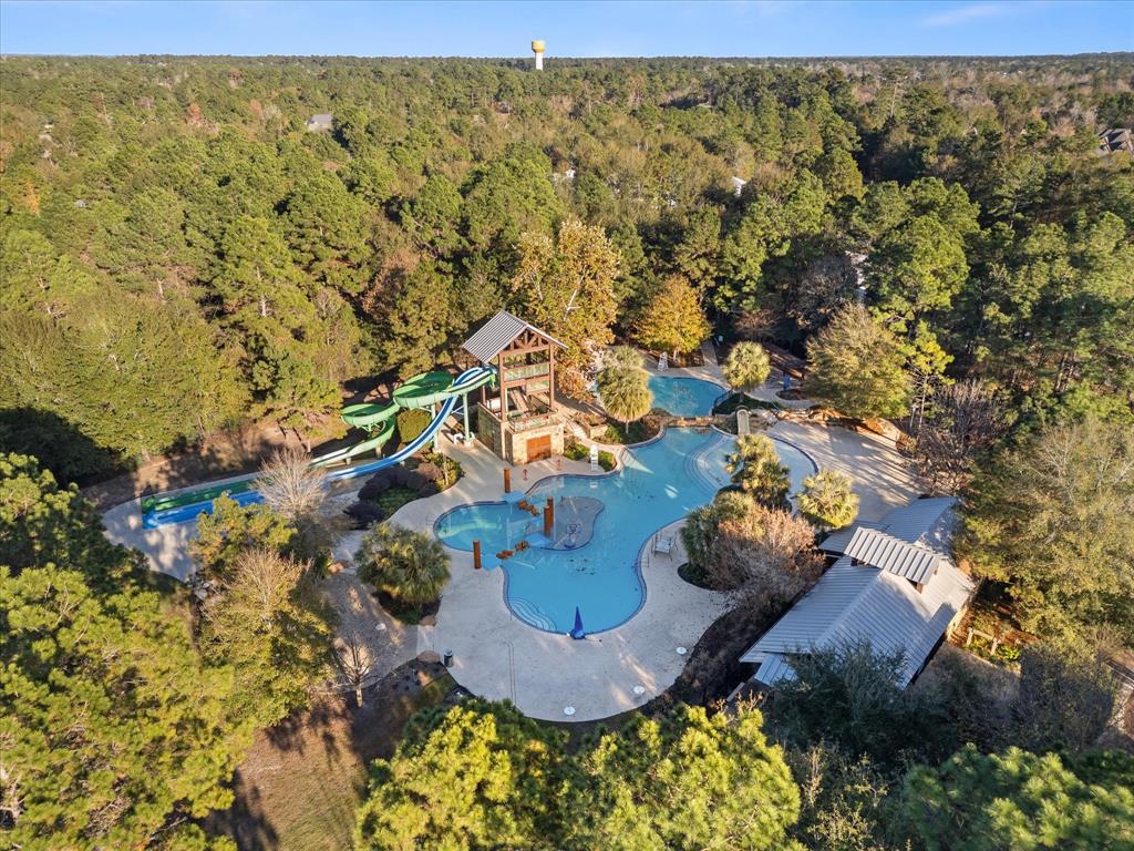 113 S Ocotillo Ridge, Montgomery, Texas image 33