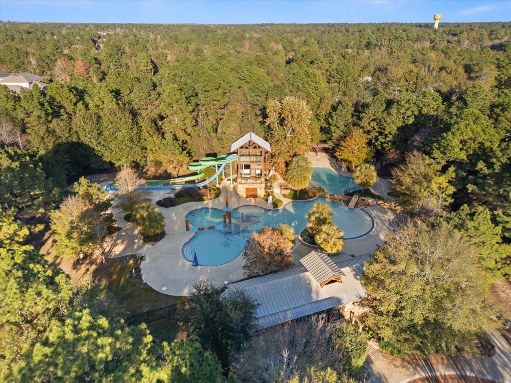 113 S Ocotillo Ridge, Montgomery, Texas image 32