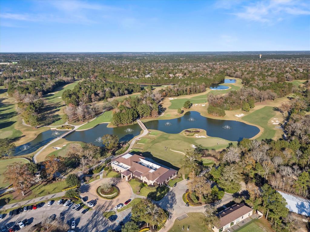 113 S Ocotillo Ridge, Montgomery, Texas image 34