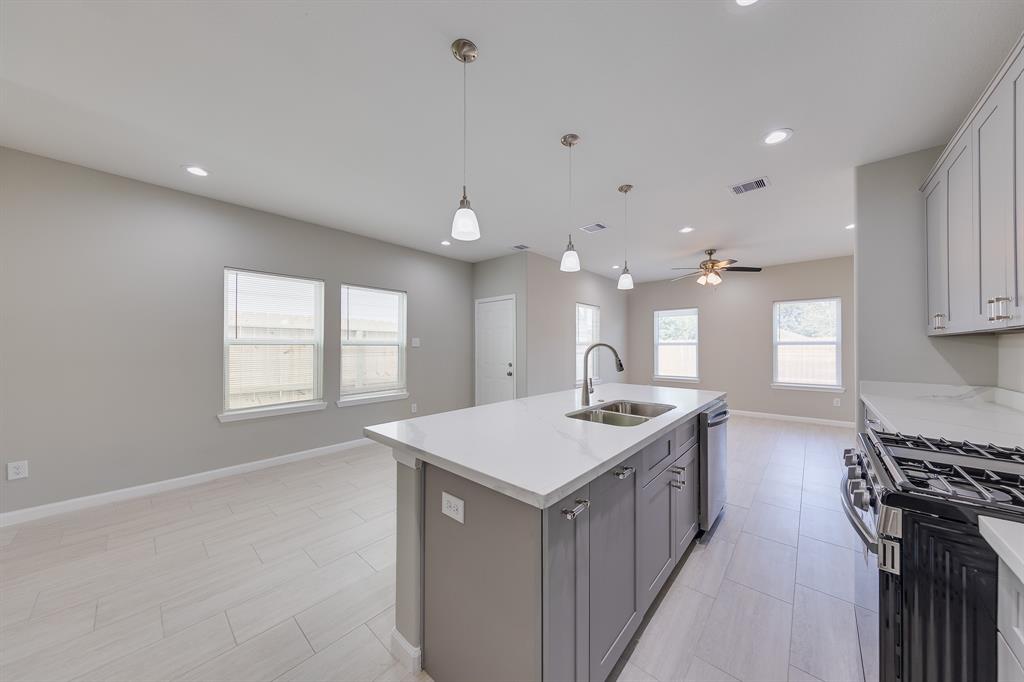 309A De Haven Street, Houston, Texas image 4