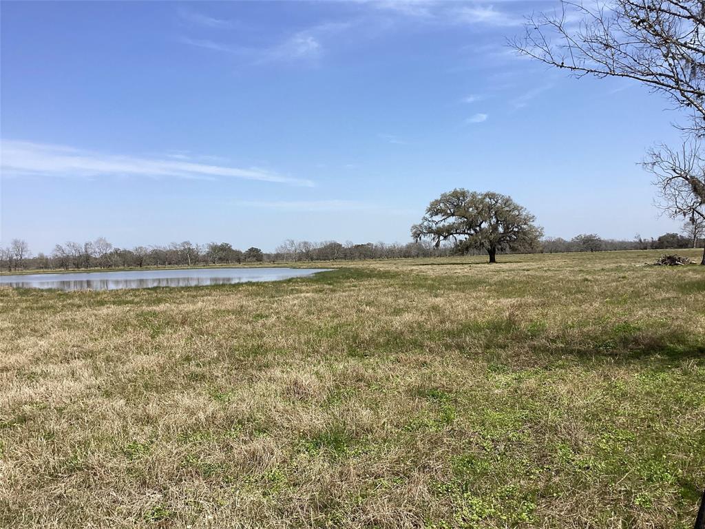 00 County Road 42, Rosharon, Texas image 5