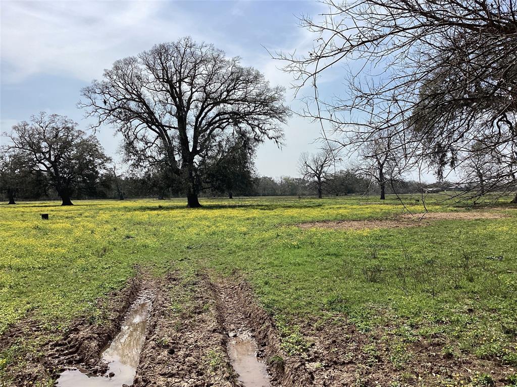 00 County Road 42, Rosharon, Texas image 31