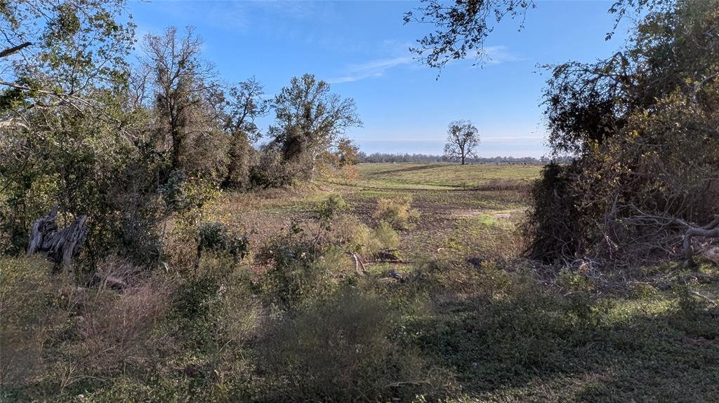 811 County Road 230 Rd, Wharton, Texas image 14