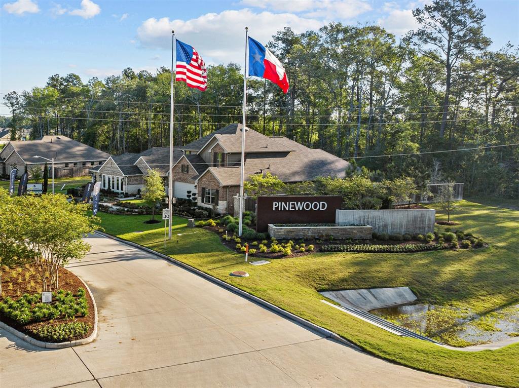 17343 Silver Birch Court, New Caney, Texas image 3