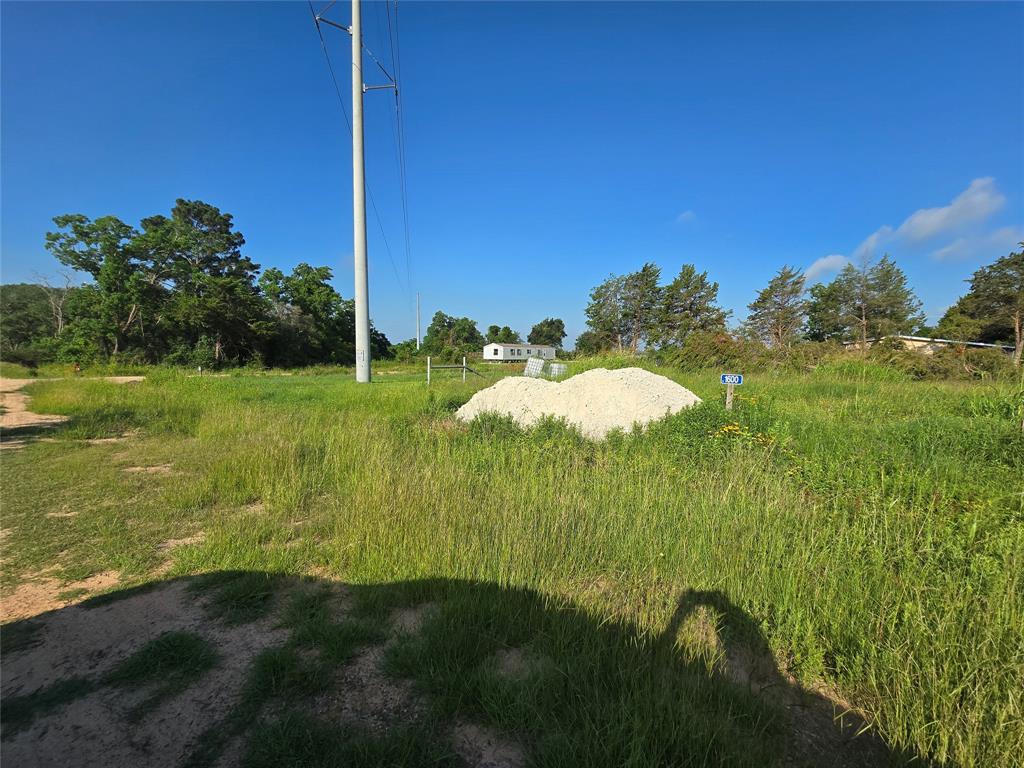 TBD Joan Of Arc Drive, Prairie View, Texas image 7