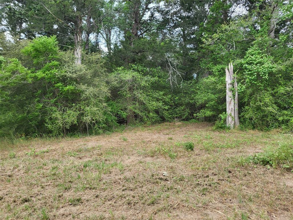 7436 Magnolia Lane, New Ulm, Texas image 3