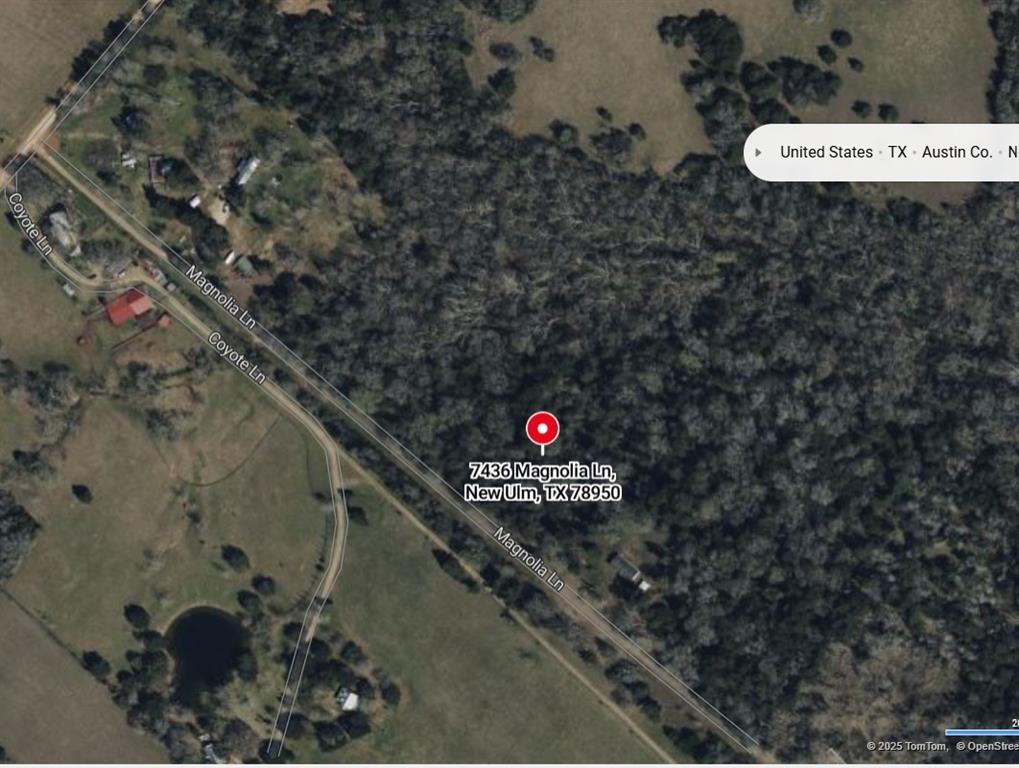 7436 Magnolia Lane, New Ulm, Texas image 5