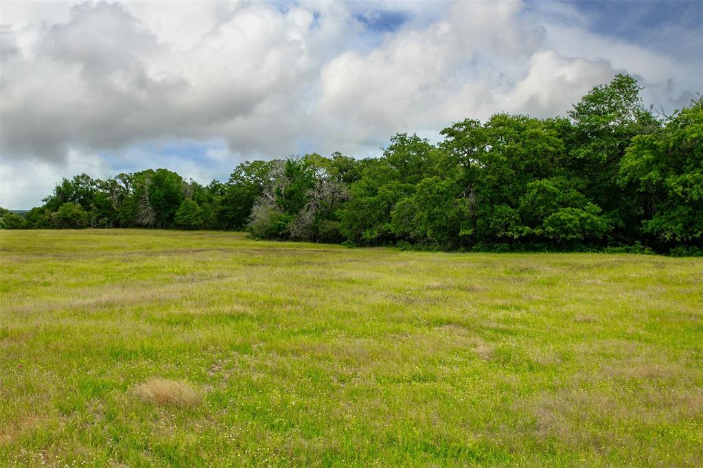 160 Green Acres Lane, Milano, Texas image 4