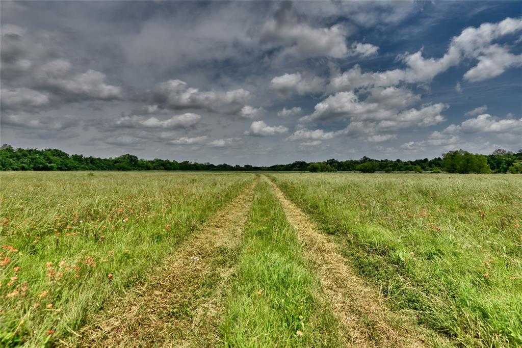TBD River Haven Dr, Navasota, Texas image 2