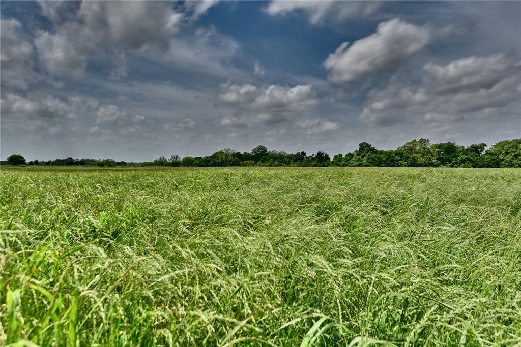 TBD River Haven Dr, Navasota, Texas image 3