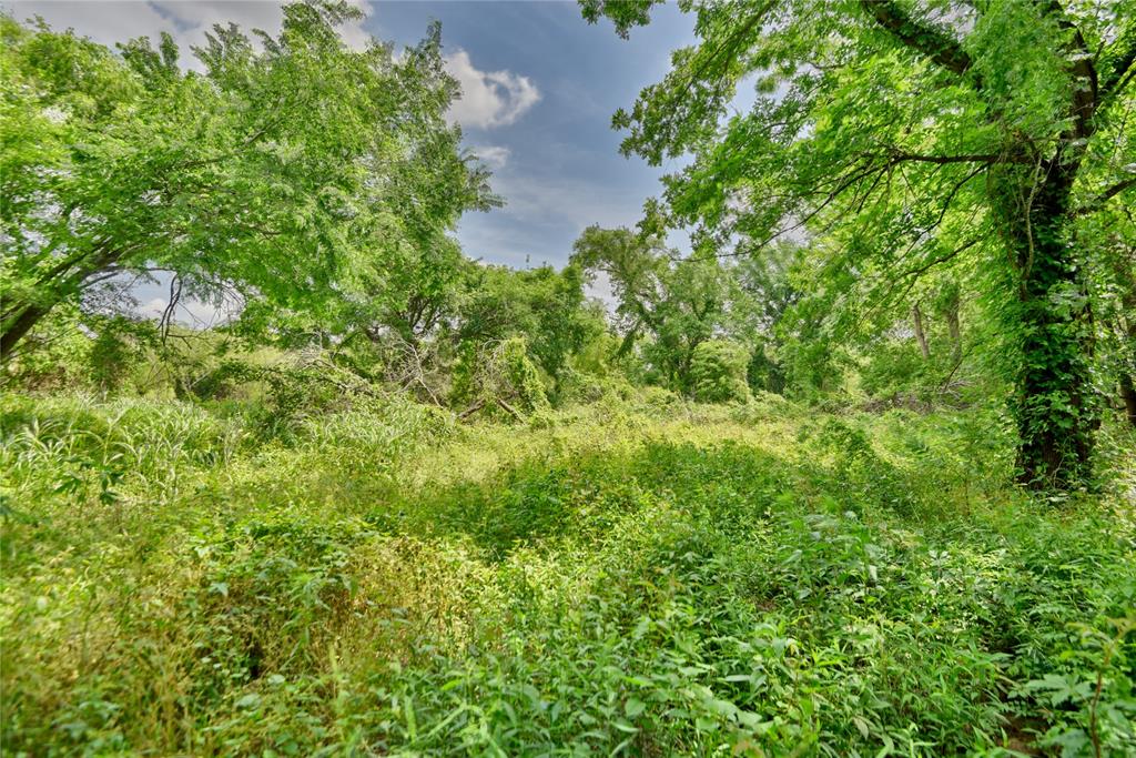 TBD River Haven Dr, Navasota, Texas image 5