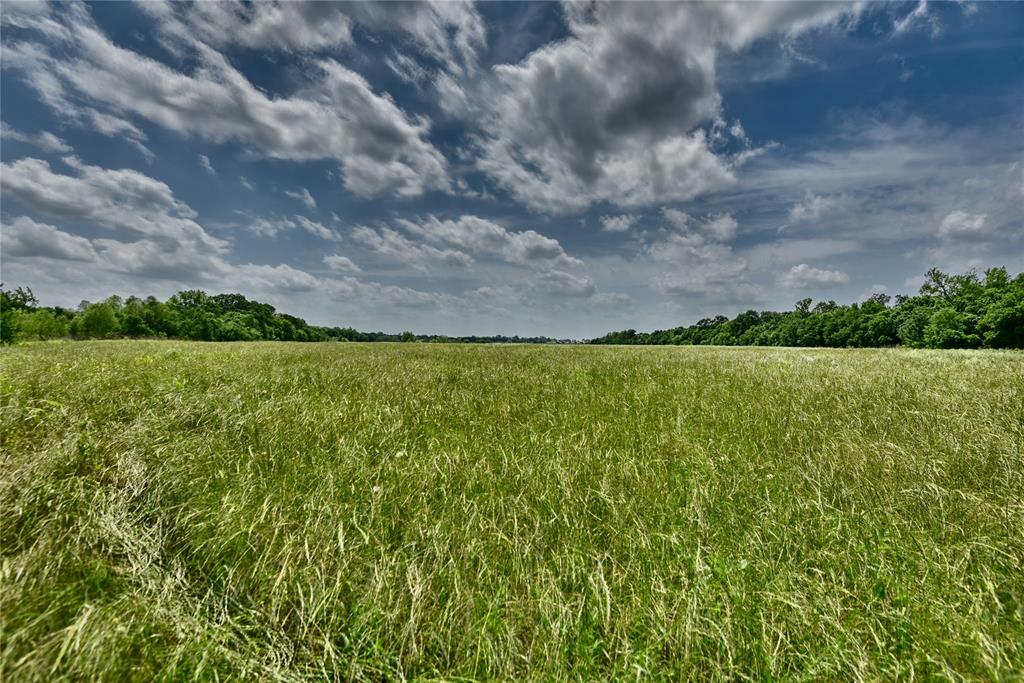 TBD River Haven Dr, Navasota, Texas image 4