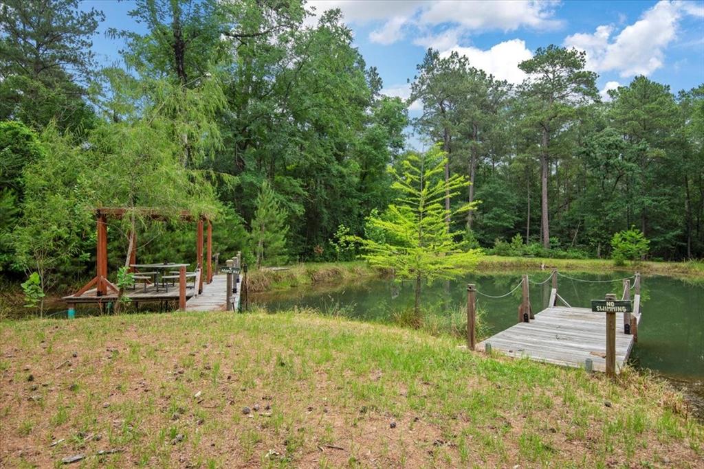15901 Butera Rd Rd, Magnolia, Texas image 1