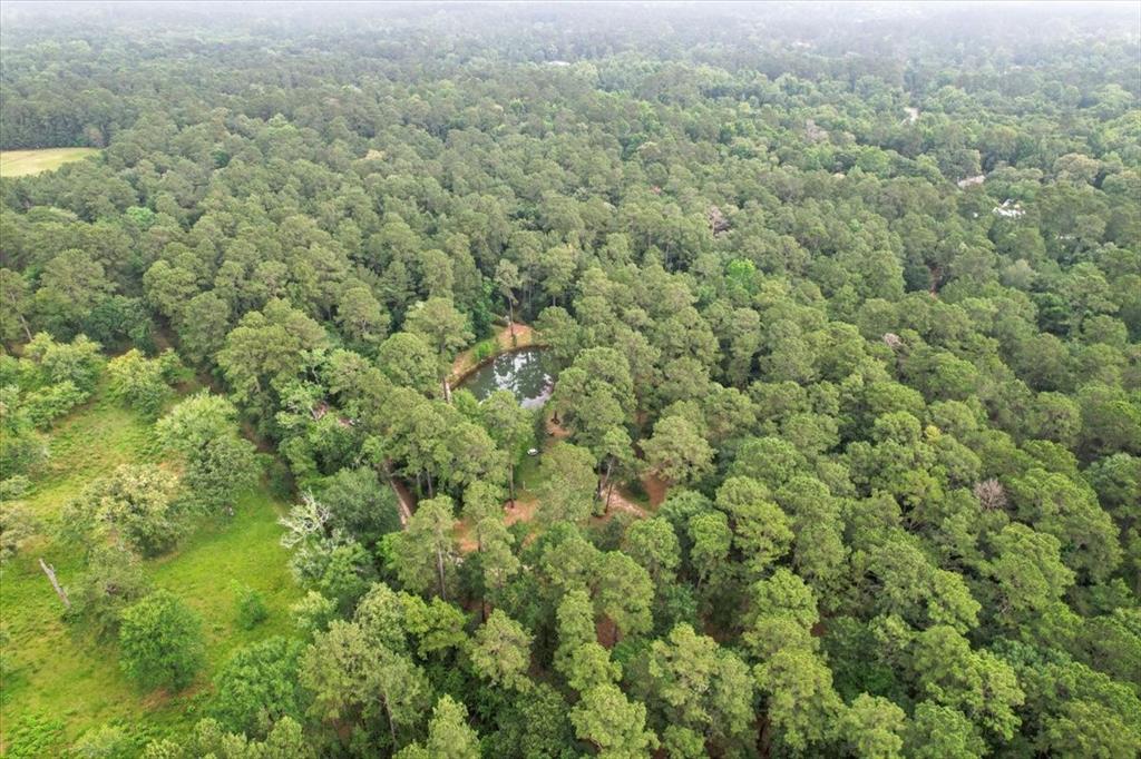 15901 Butera Rd Rd, Magnolia, Texas image 5