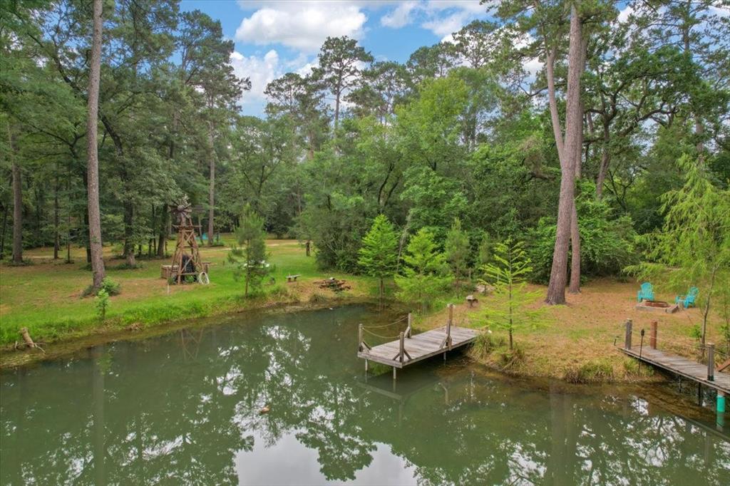 15901 Butera Rd Rd, Magnolia, Texas image 10