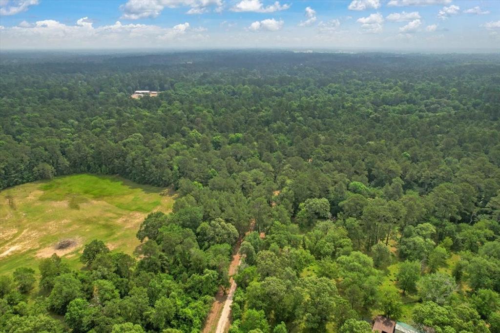 15901 Butera Rd Rd, Magnolia, Texas image 7