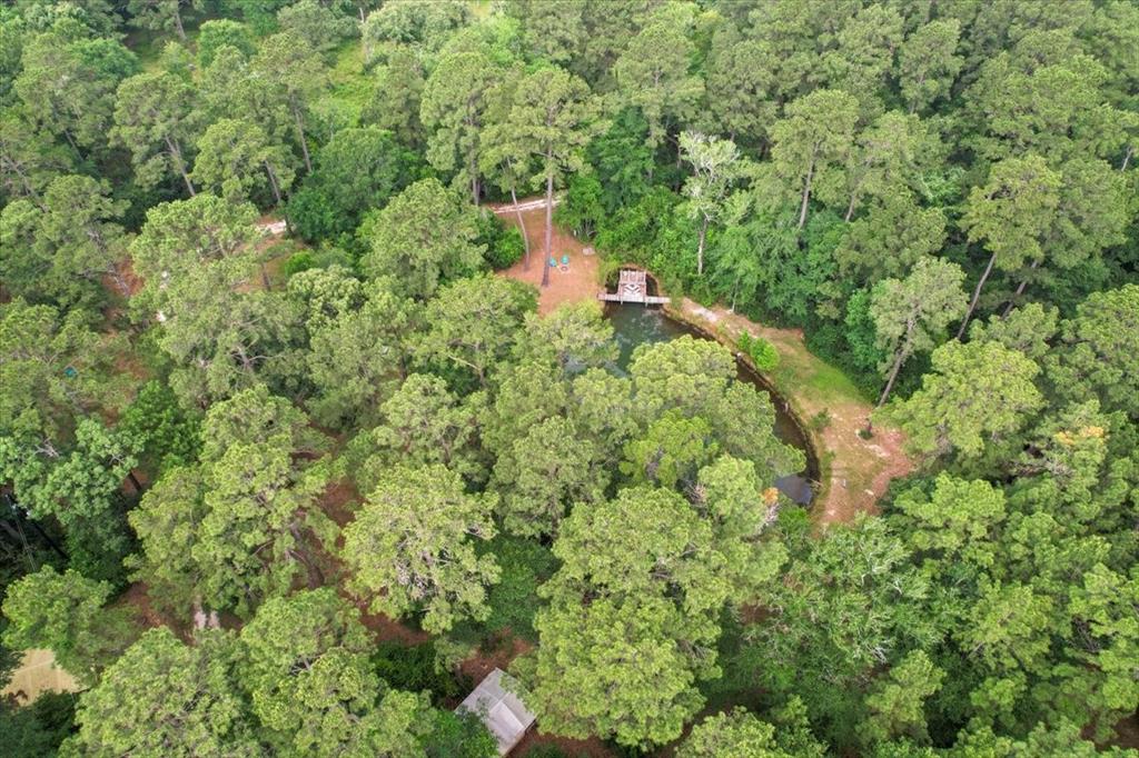 15901 Butera Rd Rd, Magnolia, Texas image 6