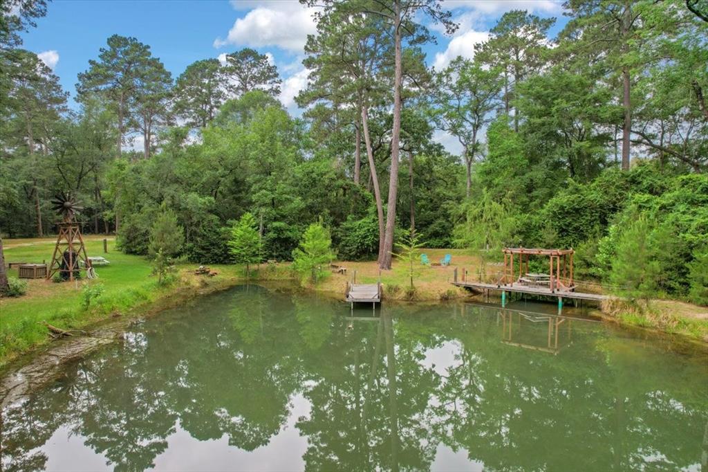 15901 Butera Rd Rd, Magnolia, Texas image 11