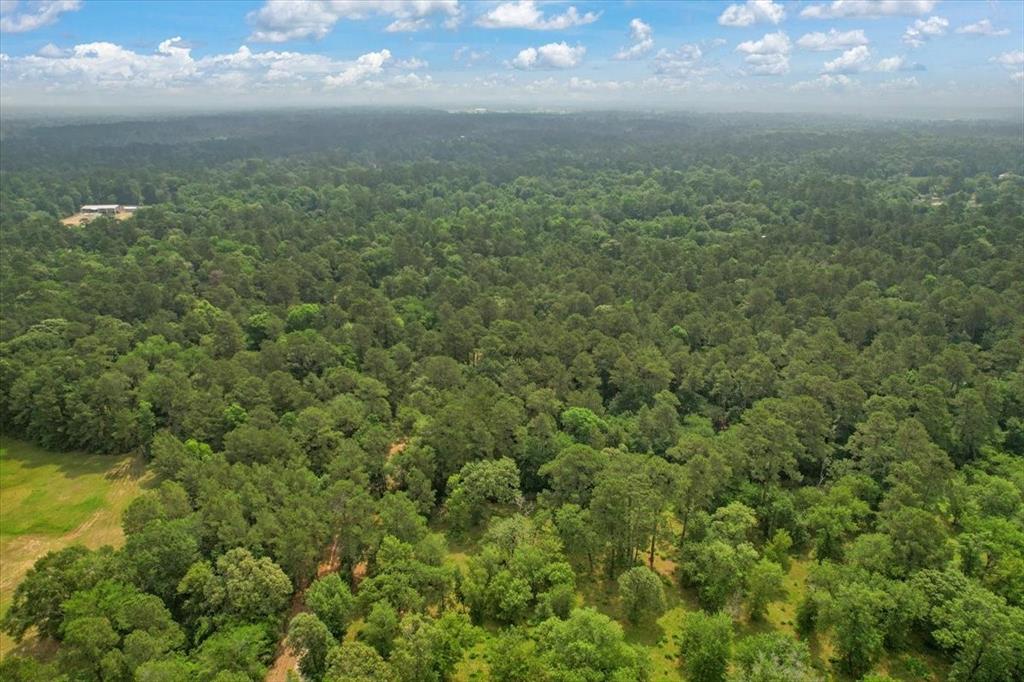 15901 Butera Rd Rd, Magnolia, Texas image 8