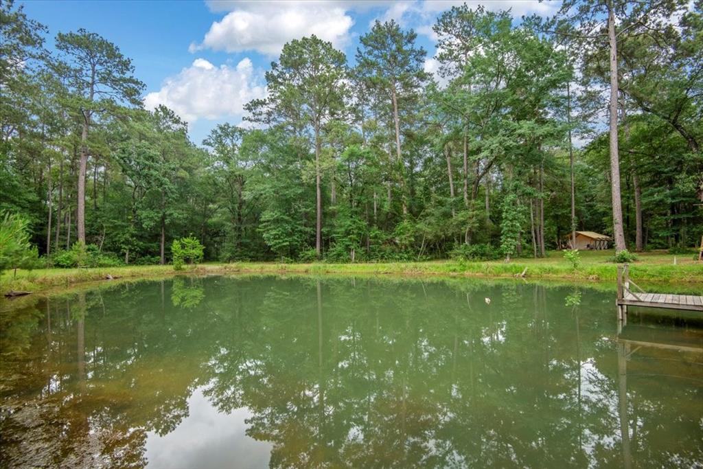 15901 Butera Rd Rd, Magnolia, Texas image 19